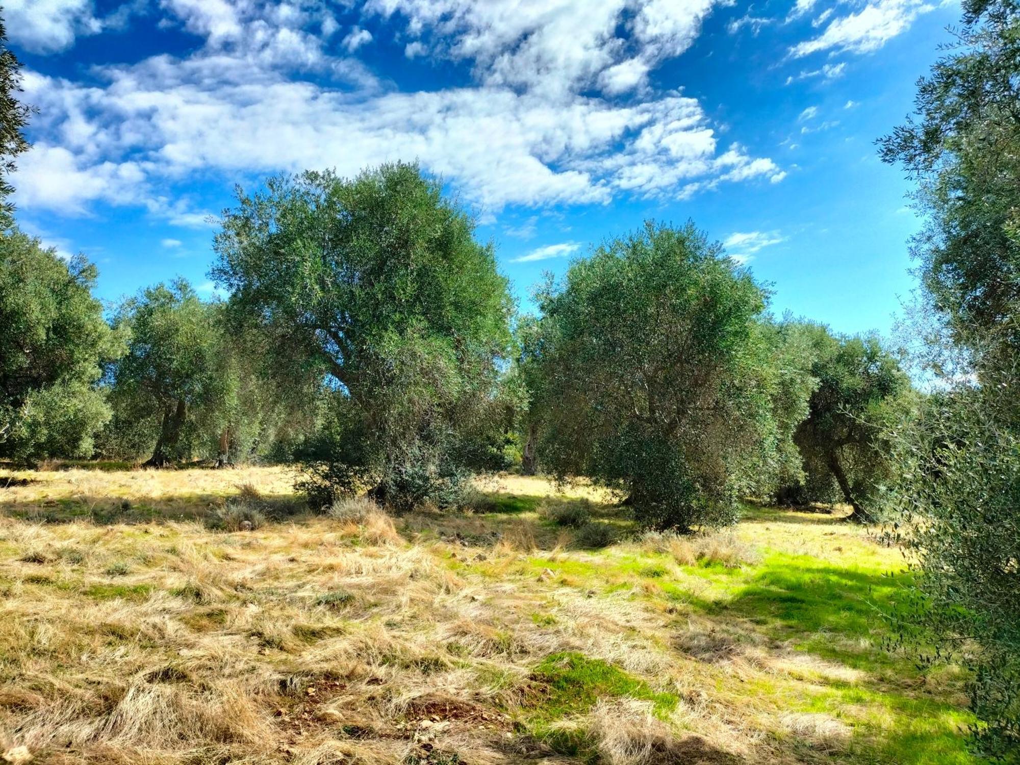 Agriturismo Lillastro Braccagni Buitenkant foto
