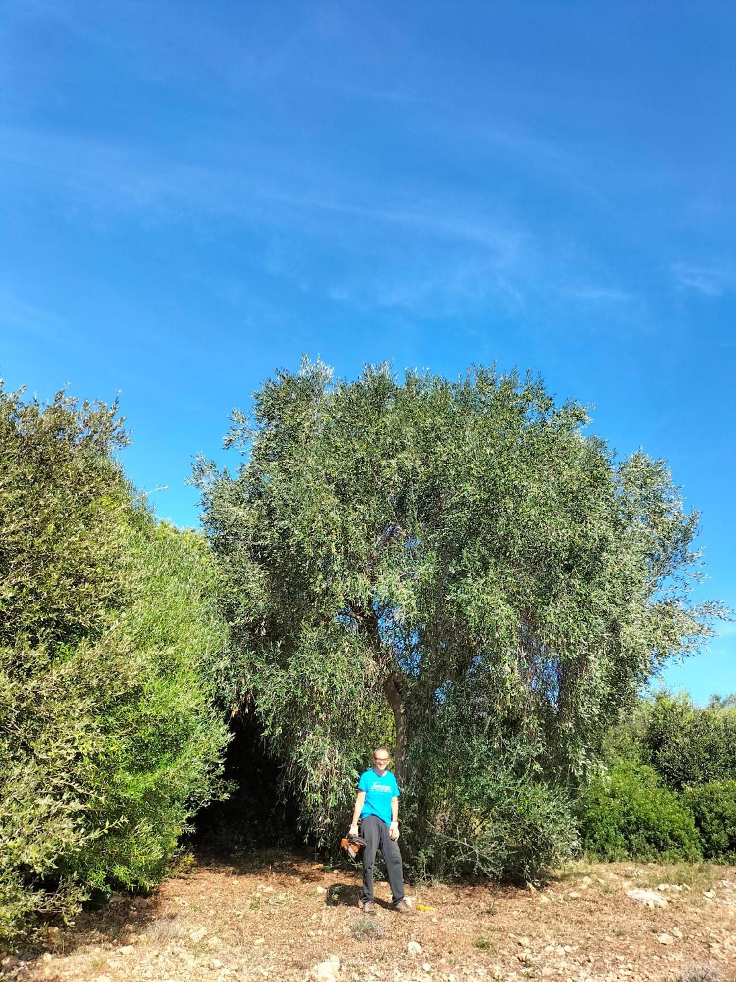 Agriturismo Lillastro Braccagni Buitenkant foto