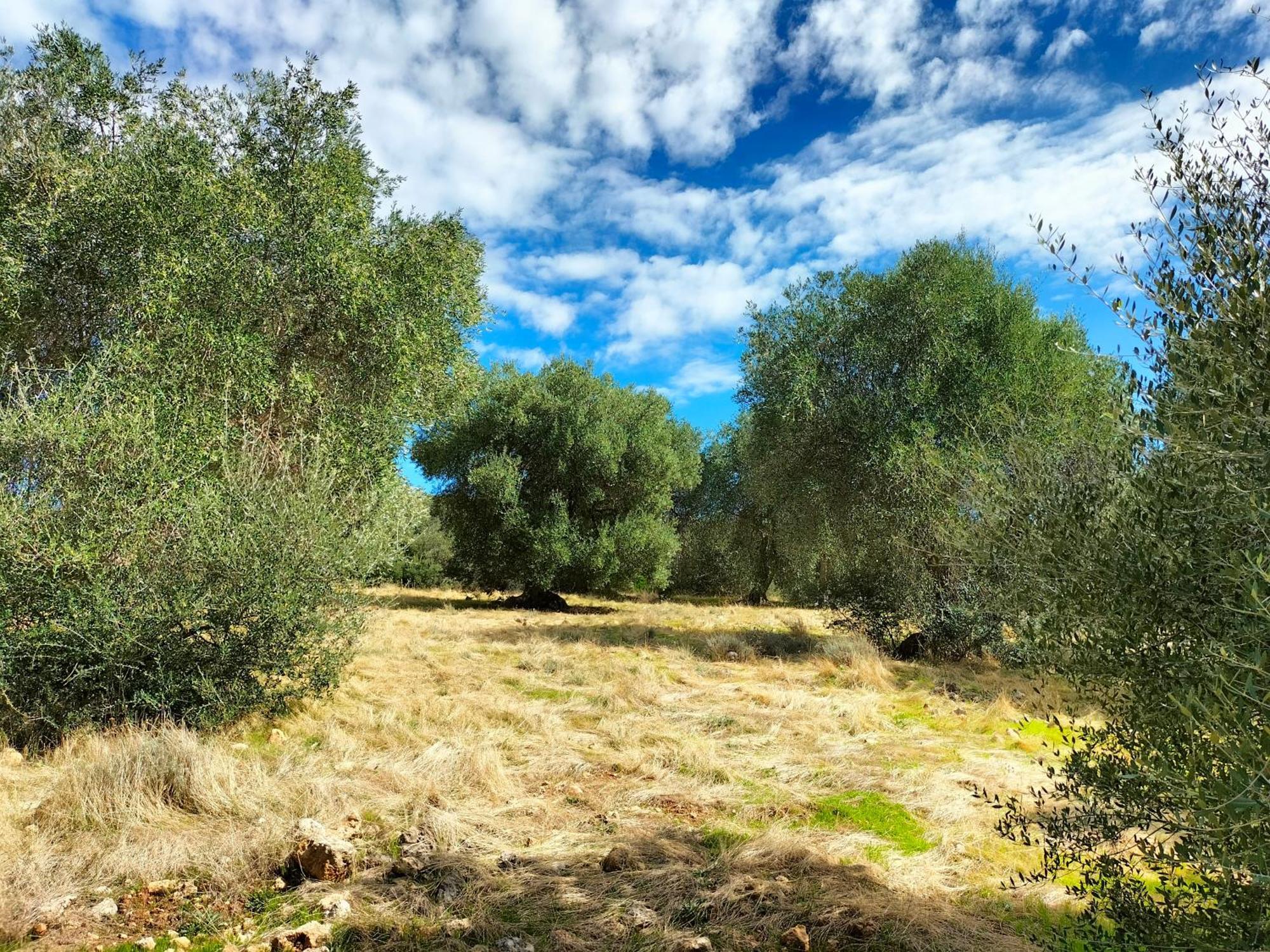 Agriturismo Lillastro Braccagni Buitenkant foto