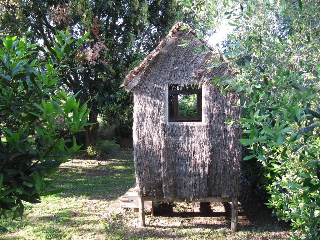 Agriturismo Lillastro Braccagni Buitenkant foto